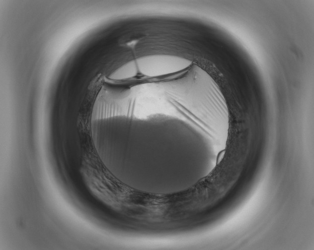 X0000113020143200909241643