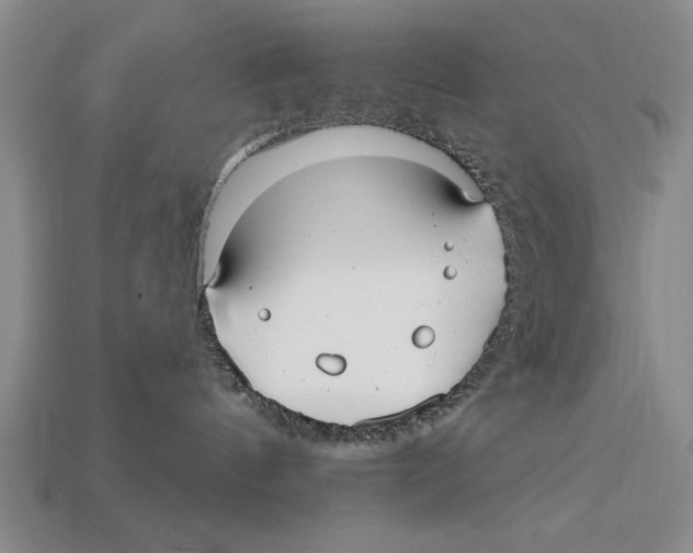 X0000113020144200909241643