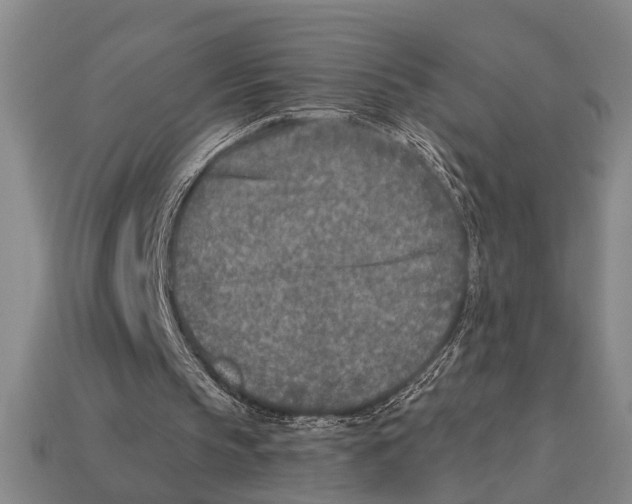 X0000113020145200909241642