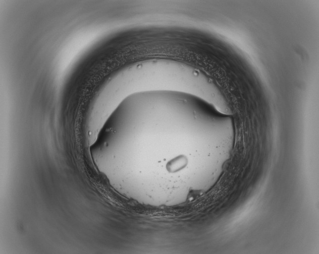 X0000113020146200909241642