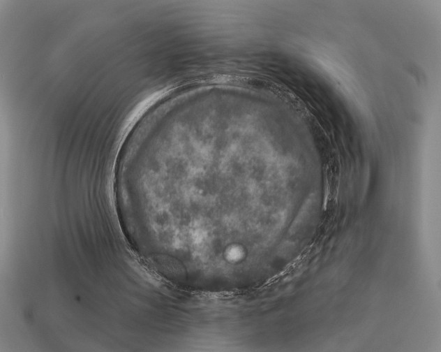 X0000113020147200909241642