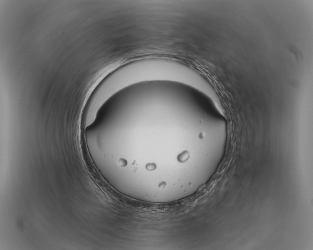 X0000113020148200909241642