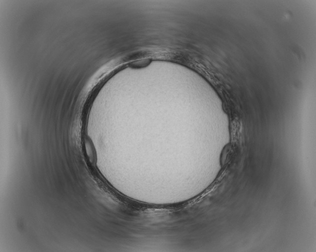 X0000113020150200909241642