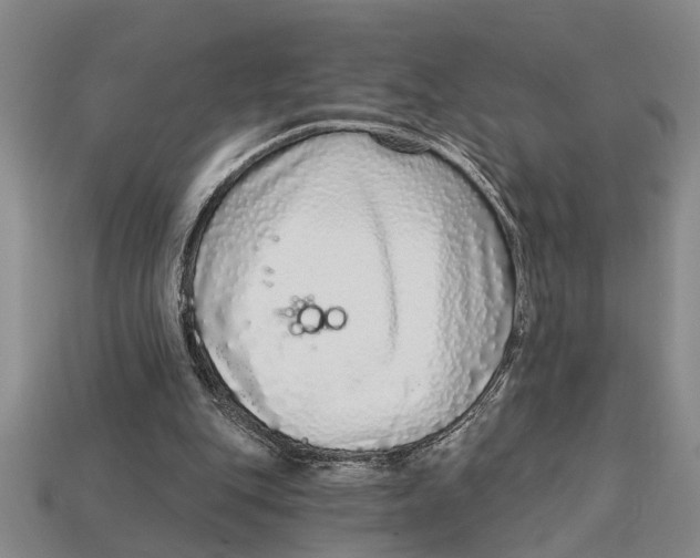 X0000113020151200909241642