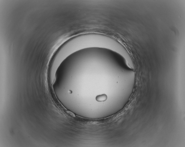 X0000113020152200909241642