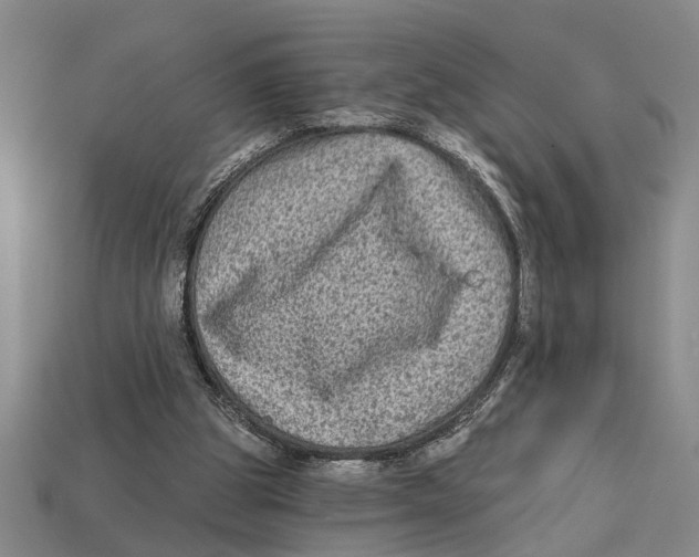 X0000113020153200909241642