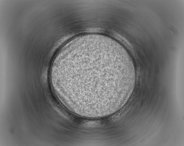 X0000113020155200909241642