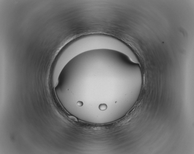 X0000113020156200909241642