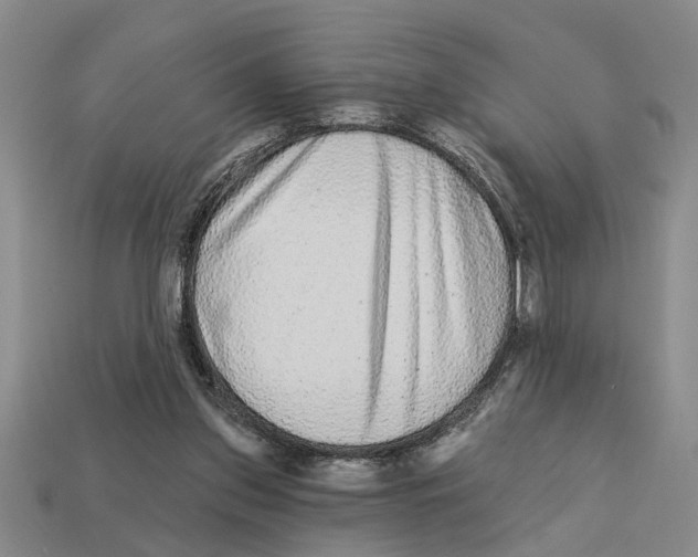 X0000113020157200909241642