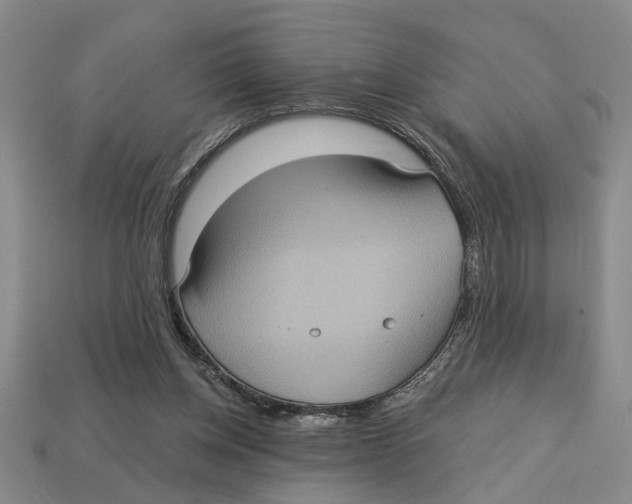 X0000113020158200909241642