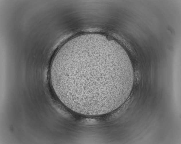 X0000113020159200909241642