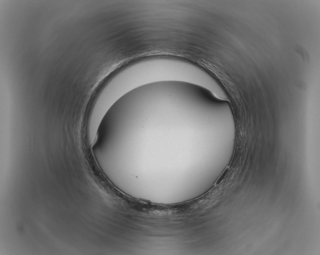 X0000113020160200909241642