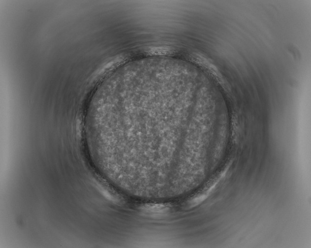 X0000113020161200909241642