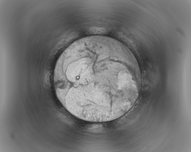 X0000113020162200909241642