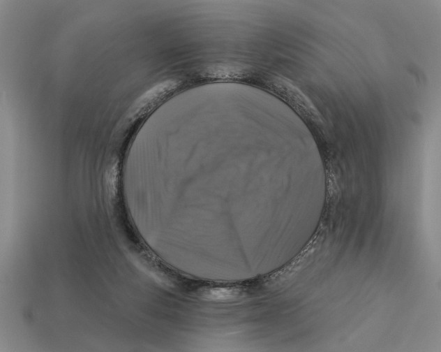 X0000113020163200909241642