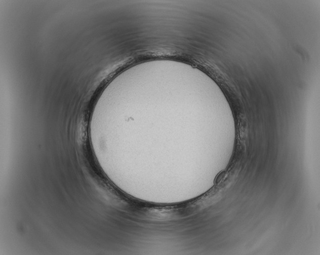 X0000113020164200909241642