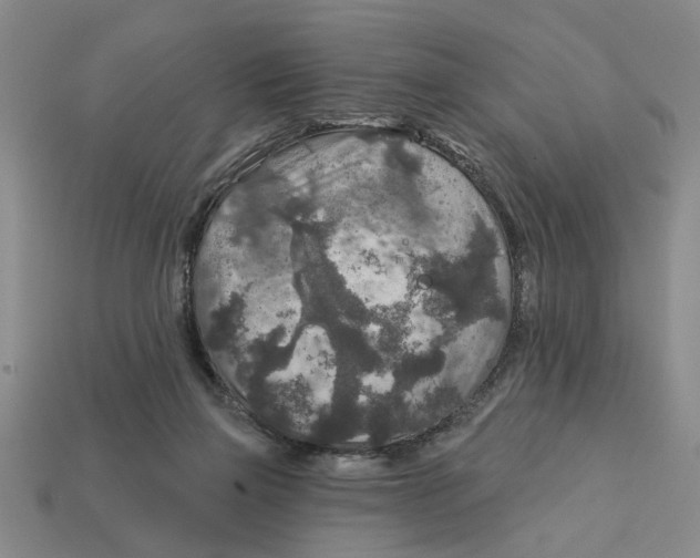 X0000113020165200909241642