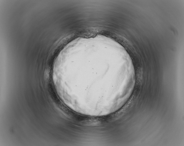 X0000113020166200909241642