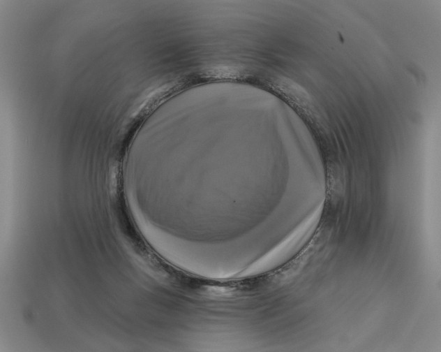 X0000113020167200909241642