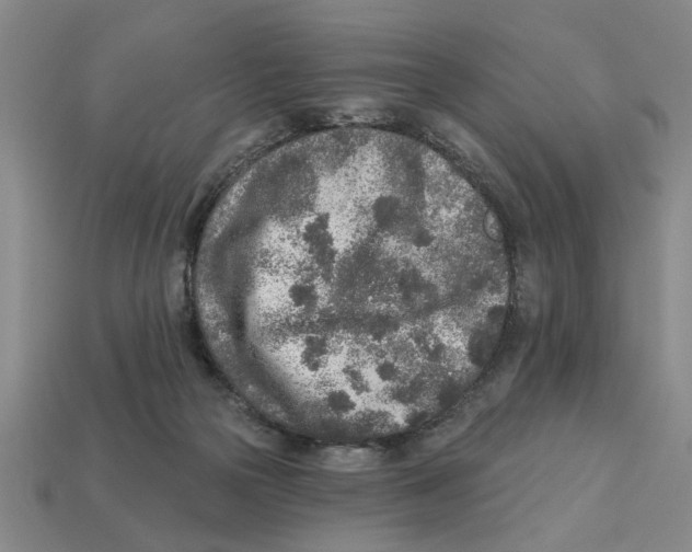 X0000113020169200909241642