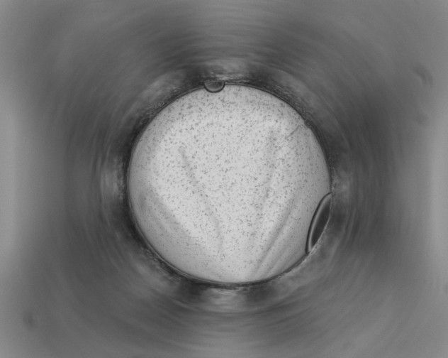 X0000113020170200909241642