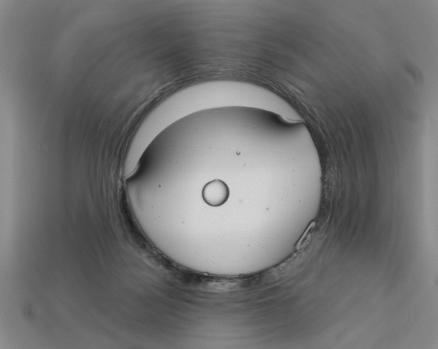 X0000113020172200909241642