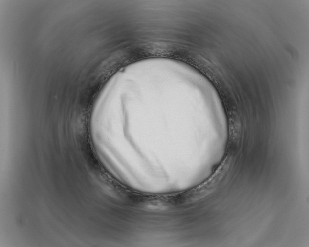 X0000113020175200909241643