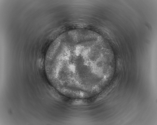 X0000113020177200909241643