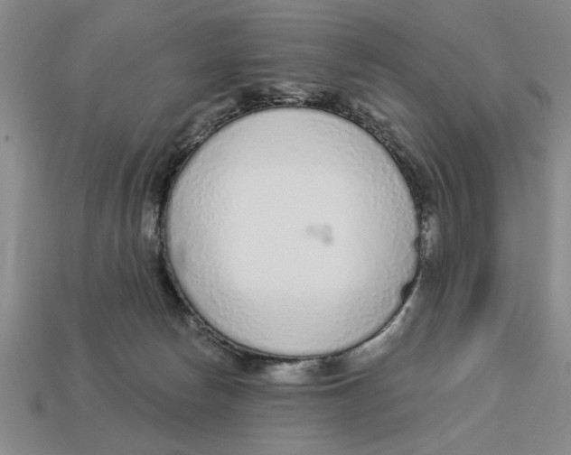 X0000113020178200909241643