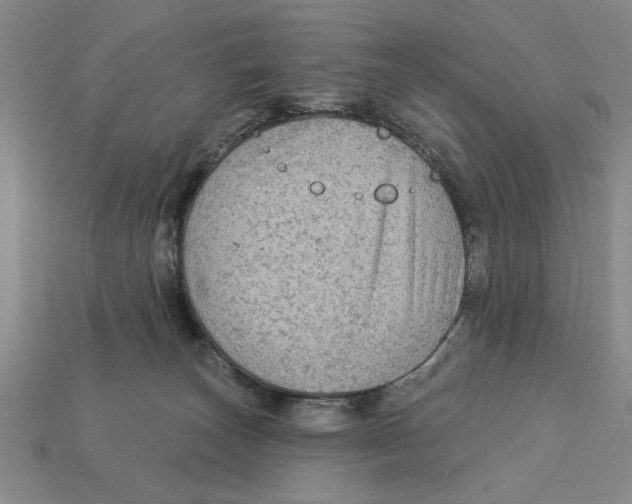 X0000113020179200909241643