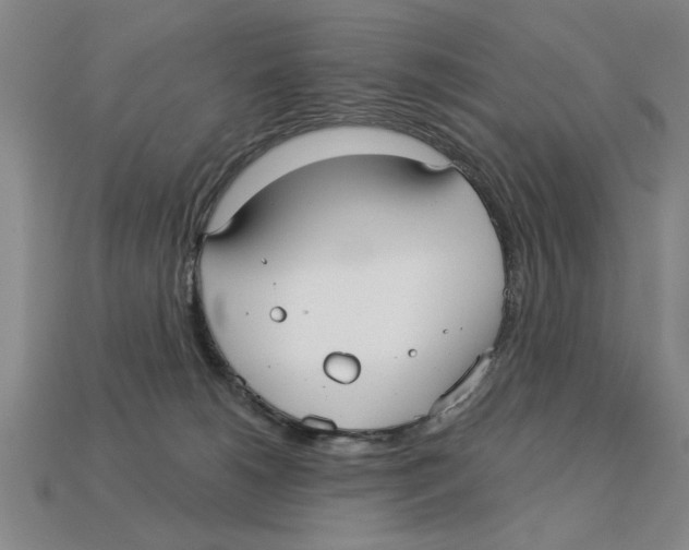 X0000113020180200909241643