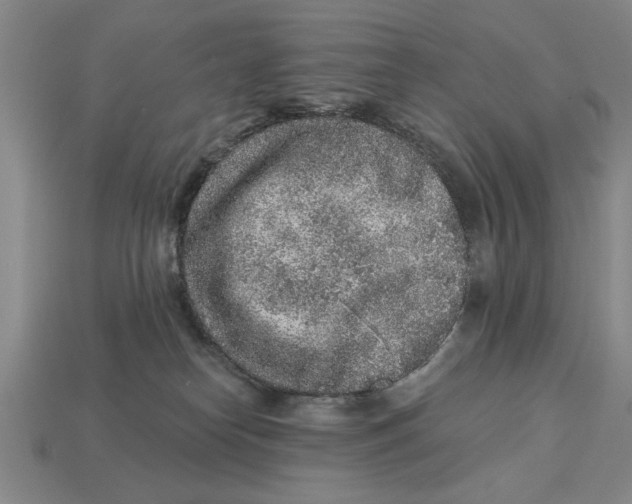 X0000113020182200909241643