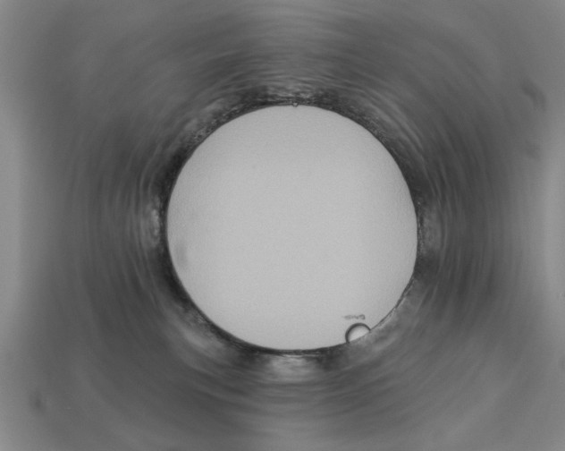 X0000113020183200909241643