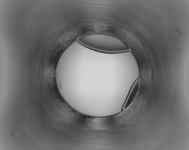 X0000113020184200909241643