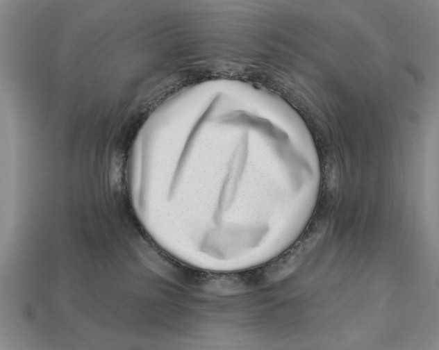 X0000113020185200909241643