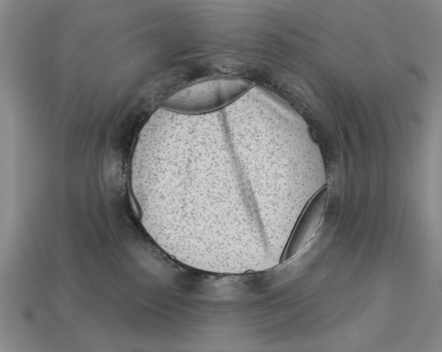 X0000113020186200909241643