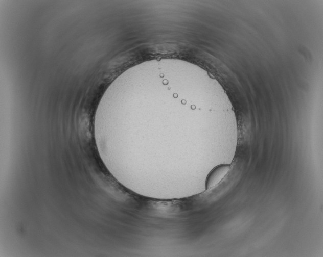 X0000113020187200909241643