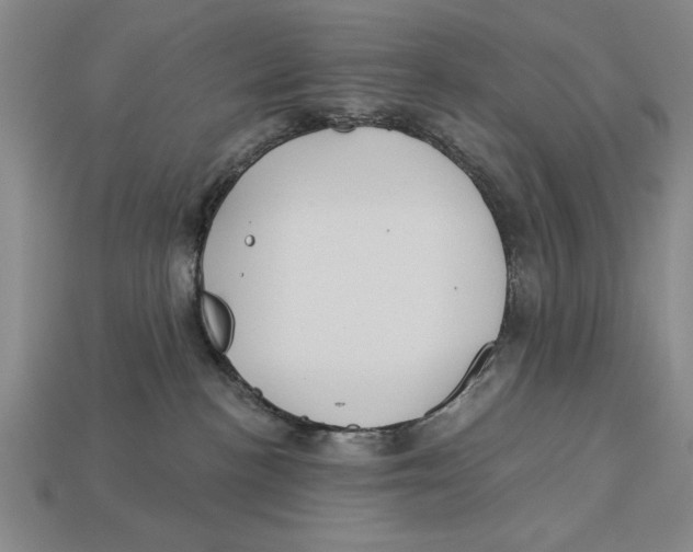 X0000113020188200909241643