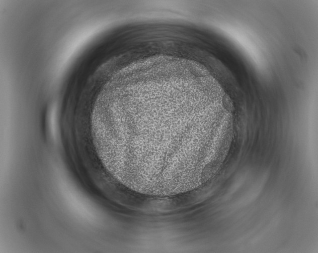 X0000113020189200909241643