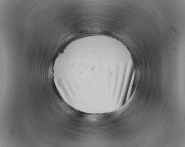 X0000113020190200909241643