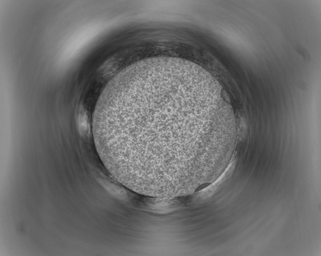 X0000113020191200909241643