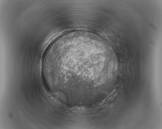 X0000113020194200909241642