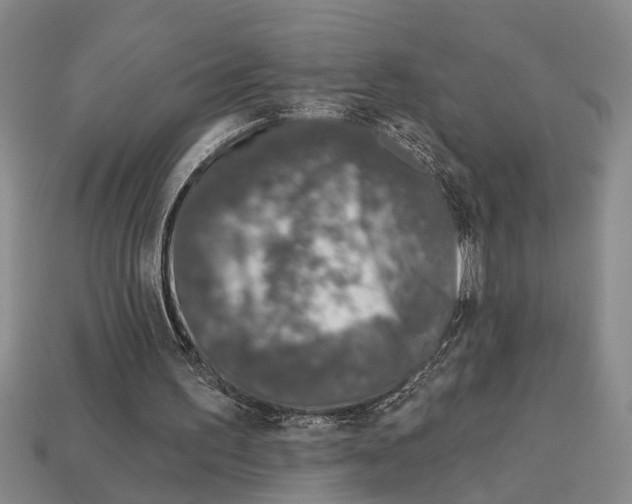 X0000113020195200909241642