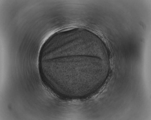 X0000113020196200909241642