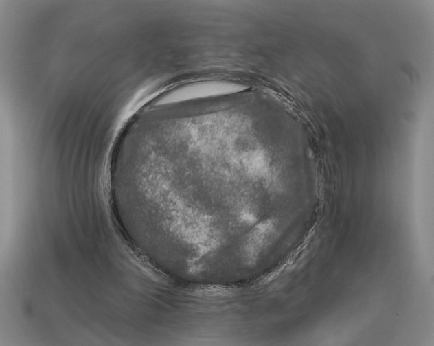 X0000113020198200909241642