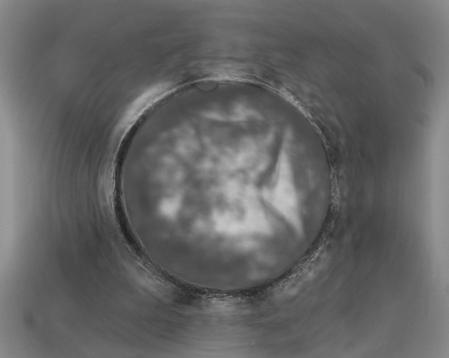 X0000113020199200909241642