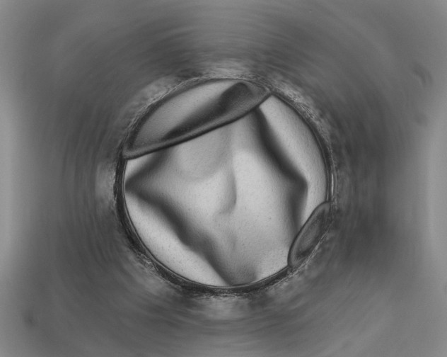 X0000113020201200909241642