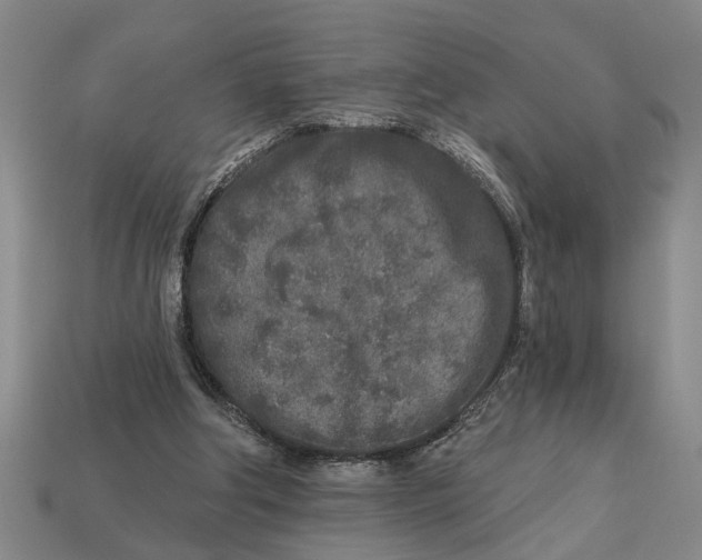 X0000113020202200909241642