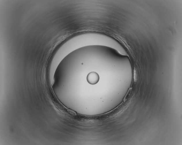 X0000113020205200909241642