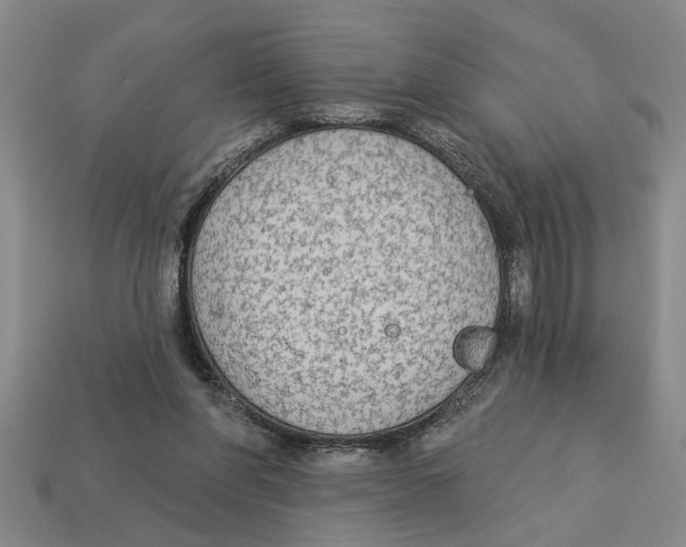 X0000113020206200909241642